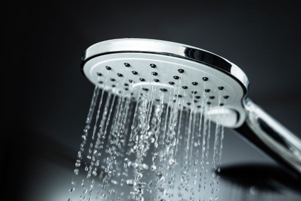 Shower Head Replacement in Dearborn
